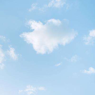 博鱼app下载(中国)官方网站